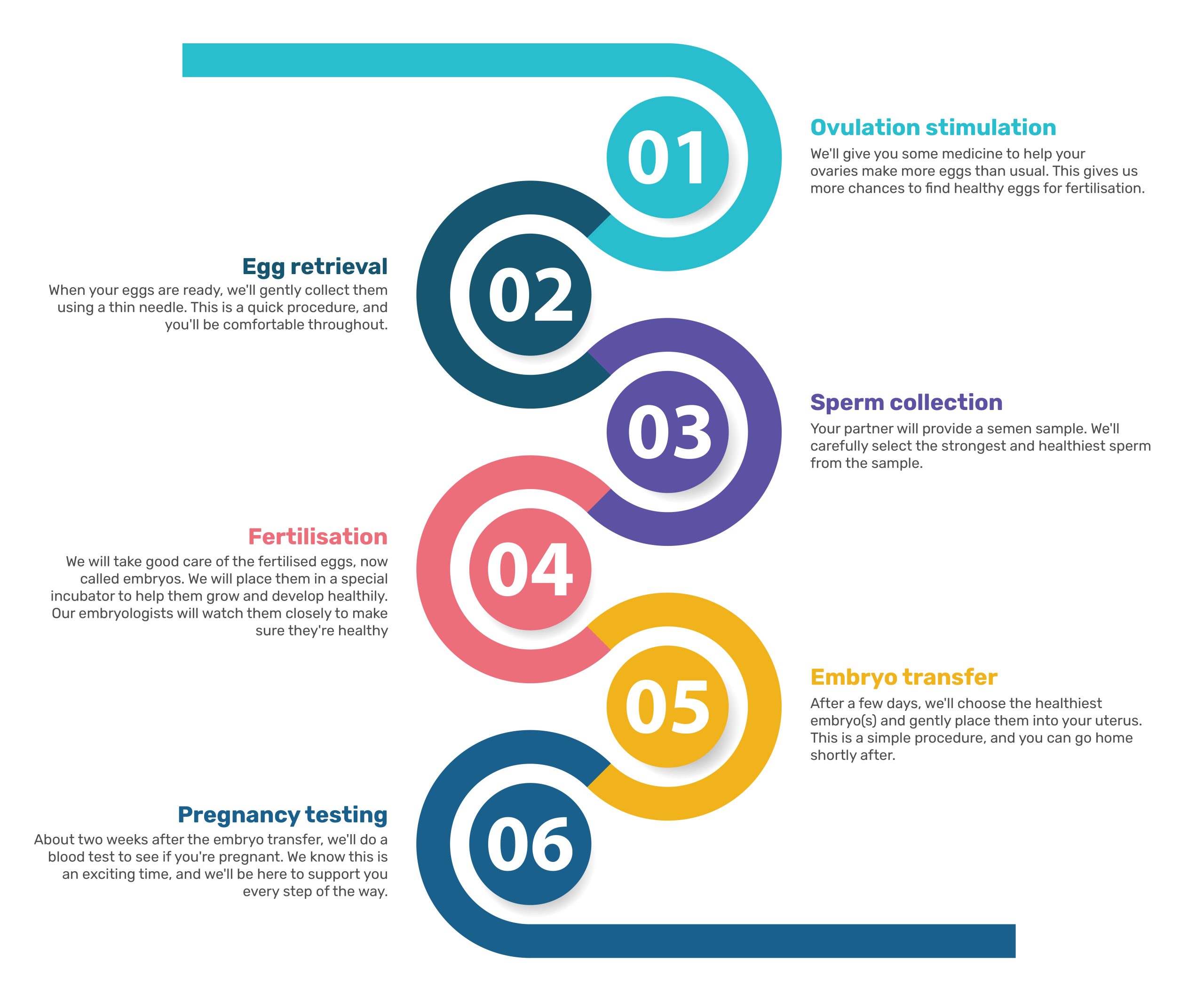 Our IVF Process