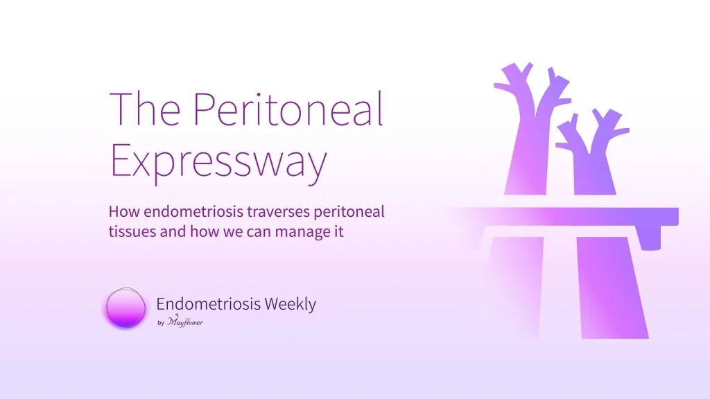 Peritoneum