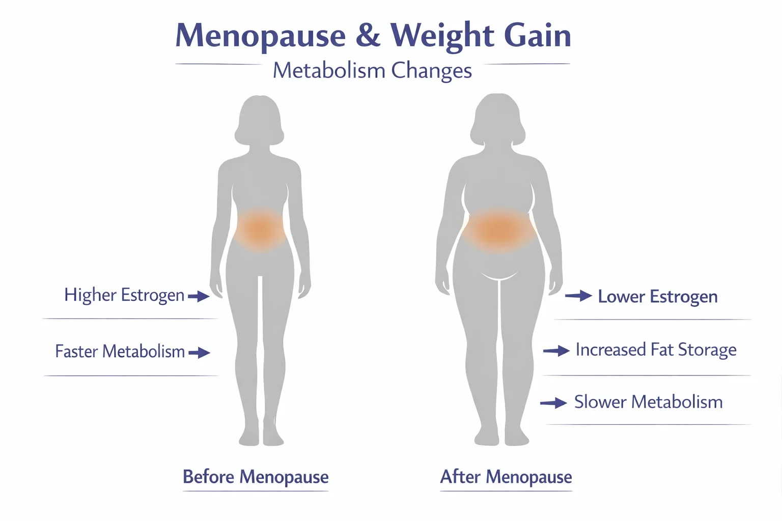 Infographic explaining menopause weight gain and metabolic changes during hormonal transition.