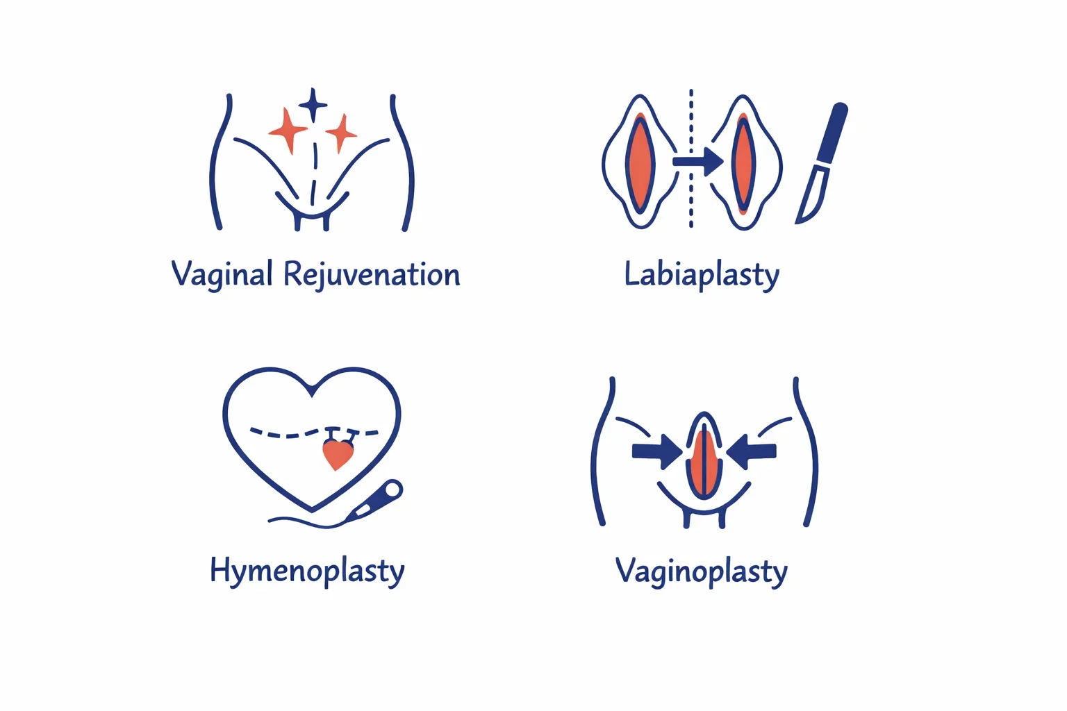Infographic showing common cosmetic gynecology procedures including vaginal rejuvenation and labiaplasty.
